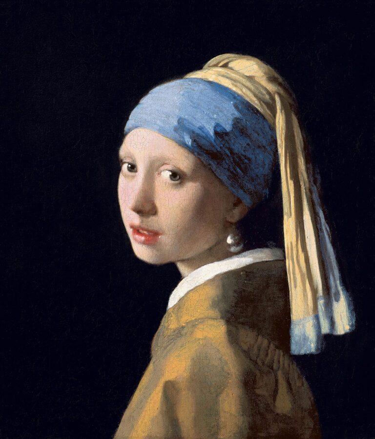 public domain images are copyright free, this one is from the painting "Girl with the Pearl Earring"
